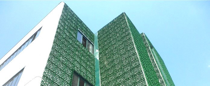 Grüne Wände sind wie Gründächer begrünte Wände, die im Innen- oder Außenbereich verwendet werden können. Grüne Wände,  auch vertikale Gärten genannt, können die Energieeffizienz steigern, die Innen- und Außentemperaturen senken und die  Luftqualität verbessern.