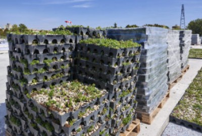 Anlieferung: COMPLETA mit vorbepflanzten Pflanzschalen für Gründächer bringen wirtschaftliche und ökologische Vorteile für Gebäude