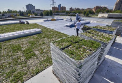 Installieren: COMPLETA mit vorbepflanzten Pflanzschalen für Gründächer bringen wirtschaftliche und ökologische Vorteile für Gebäude