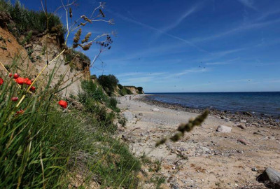 Das Ostseebad ist ein wahres Paradies für Urlauber, die Ruhe und Entspannung suchen. Die herrliche Urlaubsbrise  und das gesunde Klima machen Boltenhagen zu einem besonderen Ort, der sowohl Körper als auch Geist belebt.