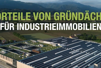 ökologische Dachbegrünung, Temperaturregulierung Industriegebäude, Regenwassermanagement Gründach, Biodiversität auf Dächern, Lebensdauer Dachabdichtung verlängern, Stadtklima verbessern mit Gründächern, nachhaltige Immobilienentwicklung,  CO2-Reduktion durch Gründach,