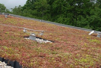 Dachbepflanzung mit Sedum in COMPLETA Pflabz-System