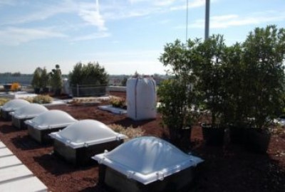 Dachgarten mit DRAINROOF und gepflanzten Bäumen und nachhaltigem Wassermanagement