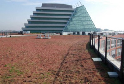 Dach mit extensiver Bepflanzung für nachhaltige Lösungen für Regen-Wasser 