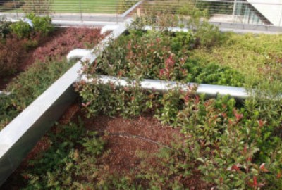 Intensive Dach-Bepflanzungen mit DRAINROOF für besseres Wasser-Management